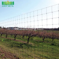 Gegalvaniseerde PVC gecoate veldomheining Farm Fences